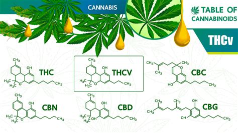  There is a huge variation between products in terms of their quality, as well as potential contamination from THC and synthetic cannabinoid